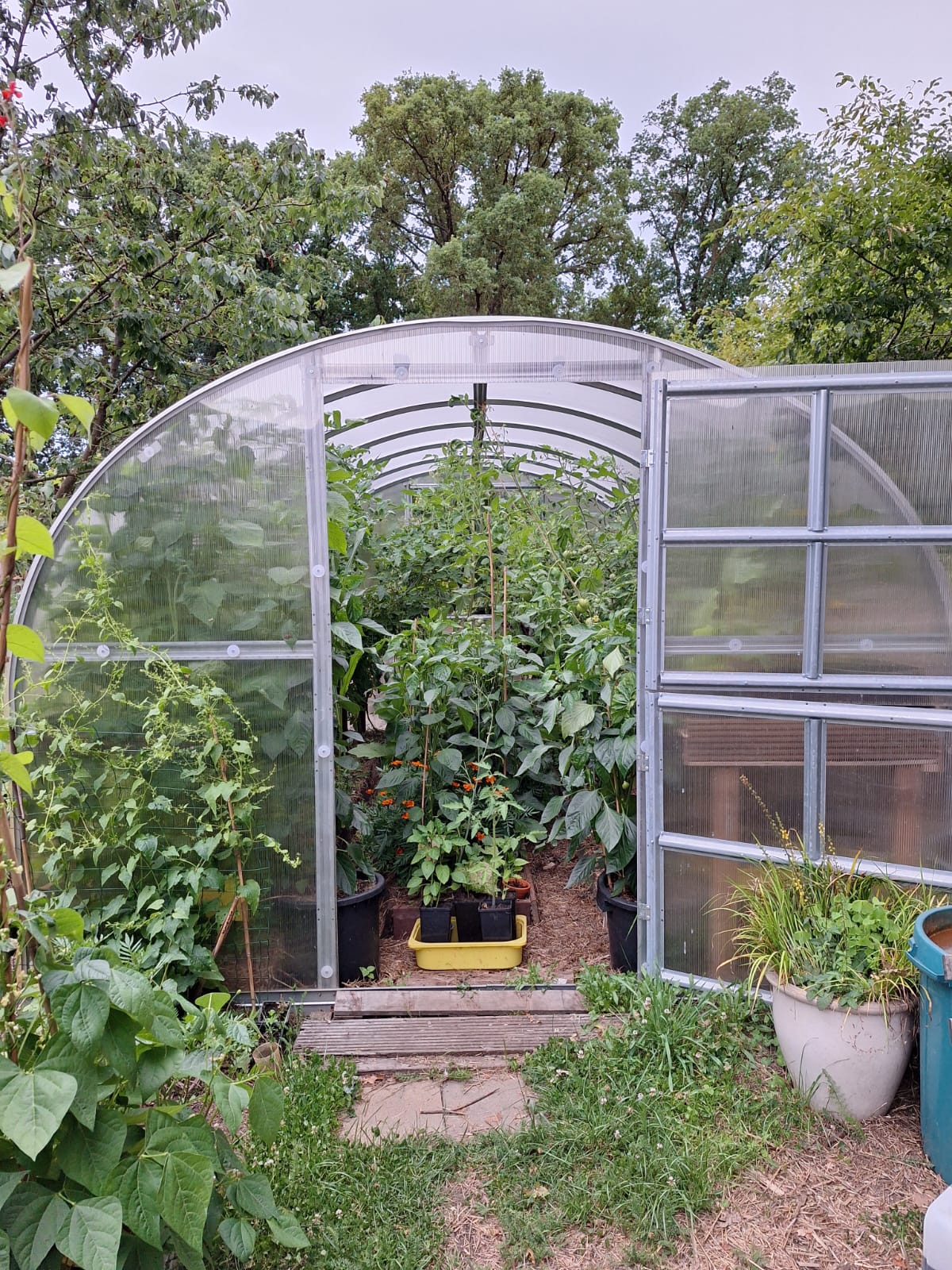 Serre en verre trempé MaSerreVerte installée dans un jardin